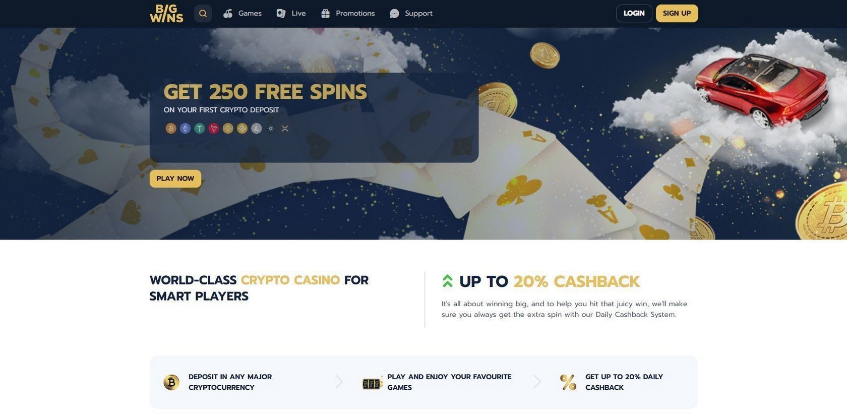 Our BigWins Testimonials and Ratings 2025